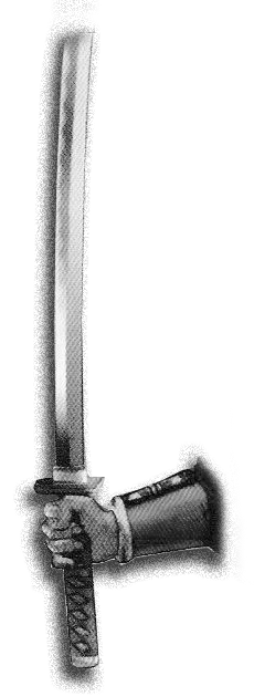 Li Shin Weapon Dojo Chi Quan Shu